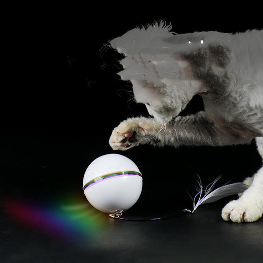 Rechargeable Automatic Cat Toy Ball with Replaceable Feather