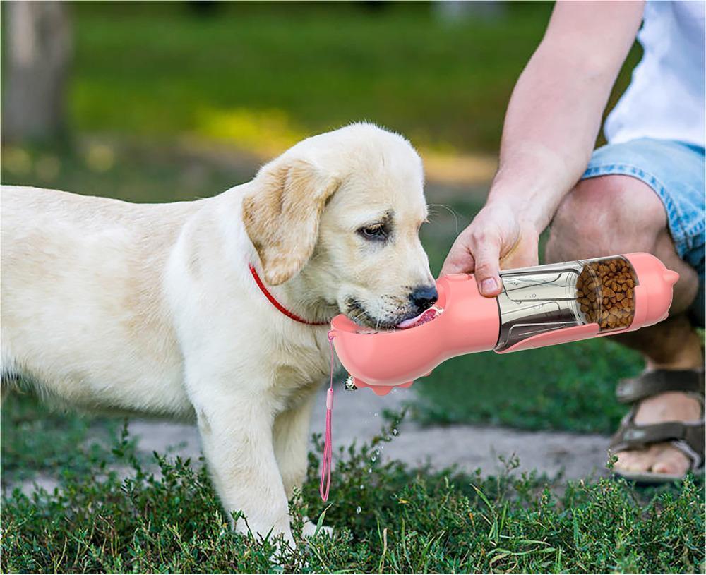 3-in-1 Dog Water Bottle