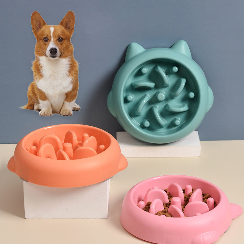 Anti-Gulping Slow Feeder Bowl for Dogs & Cats