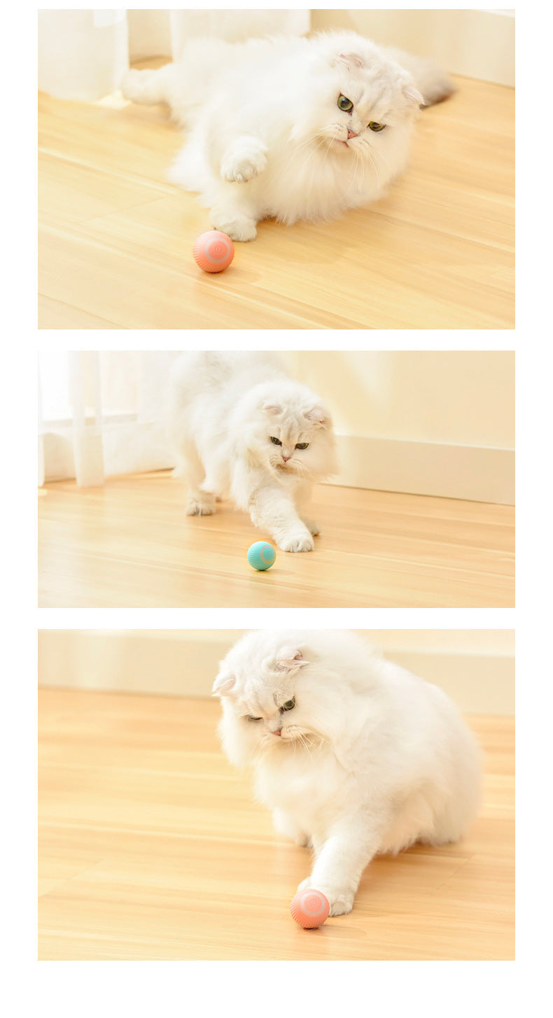 Automatic Rolling Cat Toy Ball
